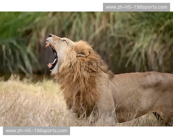 雄狮怒吼，战神降临：成吉思汗与一龙的跨时空对决，谁能问鼎武林之巅？